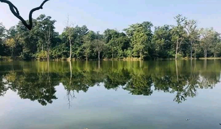 पर्यटकको रोजाइमा पर्दै बर्दियाको 'सत्खलुवा' ताल' (फोटो कथा)