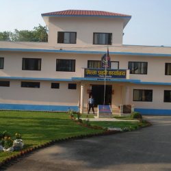 यूएनमा जागिरको प्रलोभन देखाई ठगी
