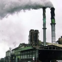 मनाङमा ४९ वटा नयाँ उद्योग थपिए