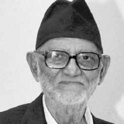 संविधान दिवसमा ९९८ जनालाई विभूषण, पूर्व प्रधानमन्त्री कोइरालालाई नेपाल रत्न