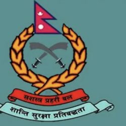 सशस्त्रमा एआइजीको दरबन्दी थपियो