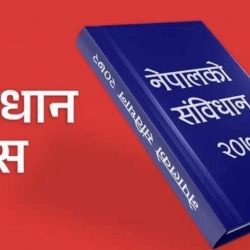 संविधानले नेपालीलाई राष्ट्रिय एकताको सूत्रमा आबद्ध गरेको छ : राष्ट्रपति भण्डारी