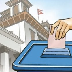 समानुपातिकमा कुन दलले कति मत ल्याए