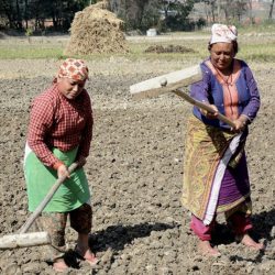 अन्तर्राष्ट्रिय किसानको विश्वव्यापी बैठक नेपालमा हुने