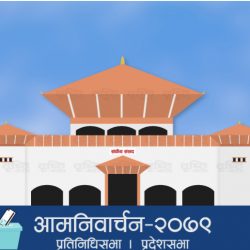 प्रतिनिधिसभा पुगे १२ दल