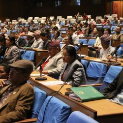 सङ्घीय संसद्को संयुक्त बैठक ११ बजे बस्दै