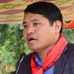 सुन तस्करी प्रकरणमा सीआईबीले लियो दिपेश पुनसँग बयान