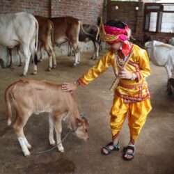 प्रज्ञालयमा कृष्ण जन्माष्टमी