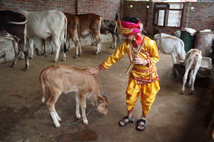 प्रज्ञालयमा कृष्ण जन्माष्टमी