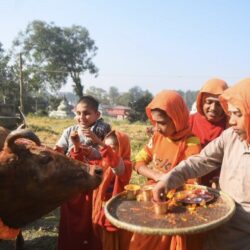 आज तिहारको तेस्रो दिन गाईको पूजा गरी मनाइदै