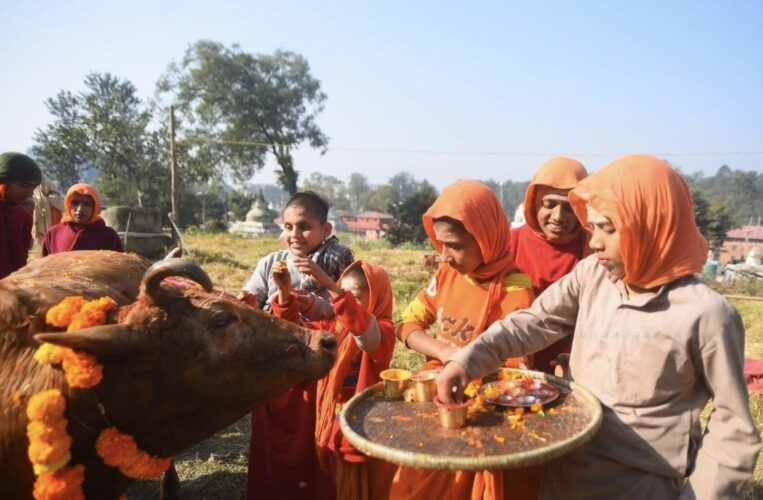 आज तिहारको तेस्रो दिन गाईको पूजा गरी मनाइदै