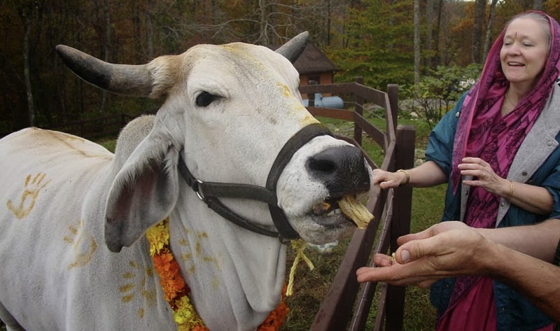 यमपञ्चकको चौथो दिन आज गोवर्द्धन पूजा